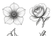 ETARA Vintage Holiday Studio, an Object Graphic by ETARA by Mea Hau (Thumbnail 92 of 94)