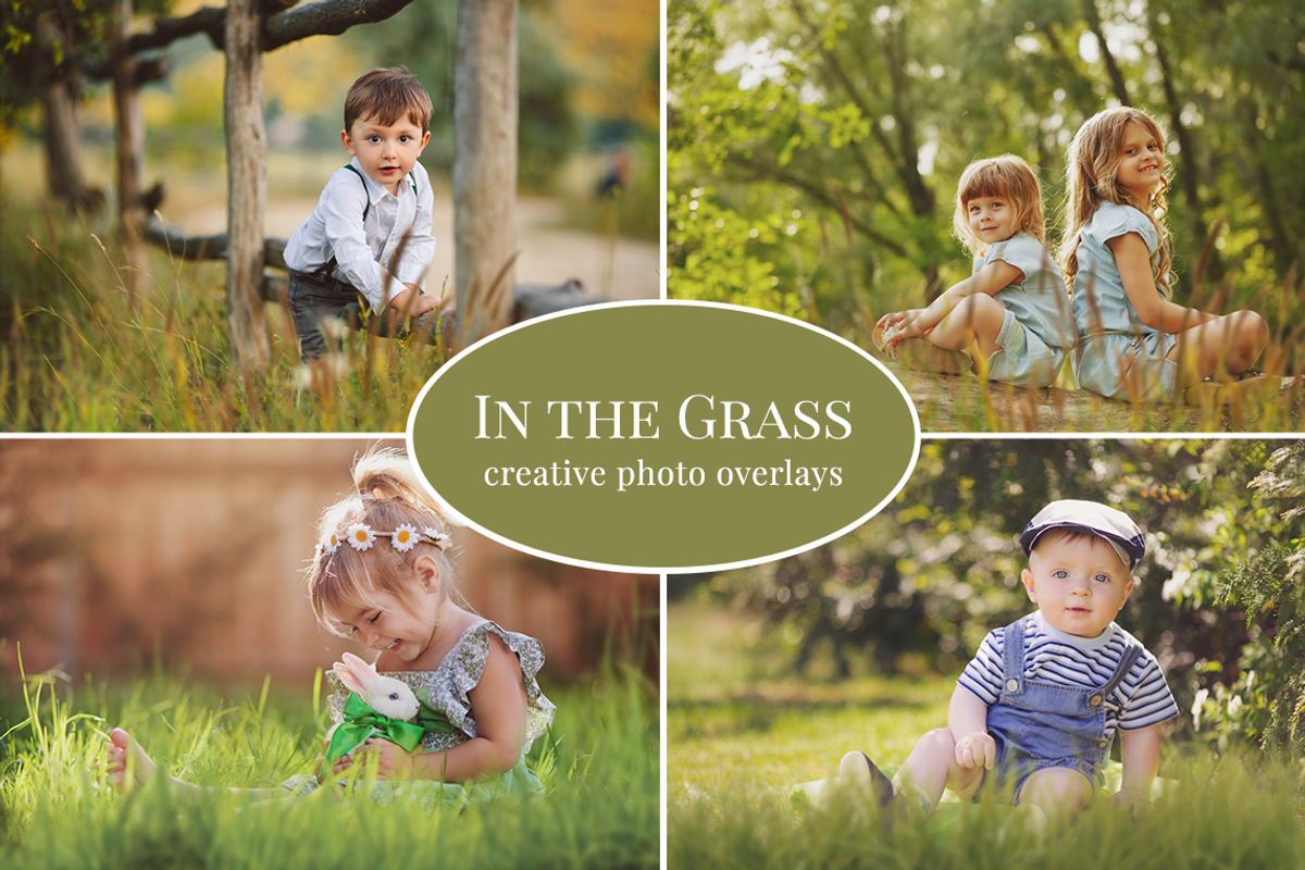 In The Grass photo overlays set, an Object Graphic by BrownLeopard (Photo 1 of 5)