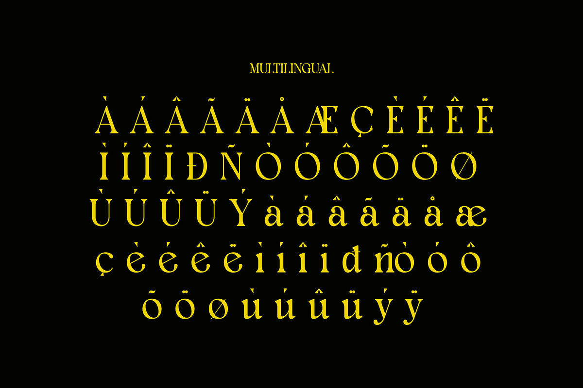 Glomen Modern Elegant Serif, a Serif Font by Alfinart (Photo 7 of 11)