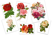 Vintage Decoupage Collection, an Illustration by MDD Designs (Thumbnail 2 of 5)