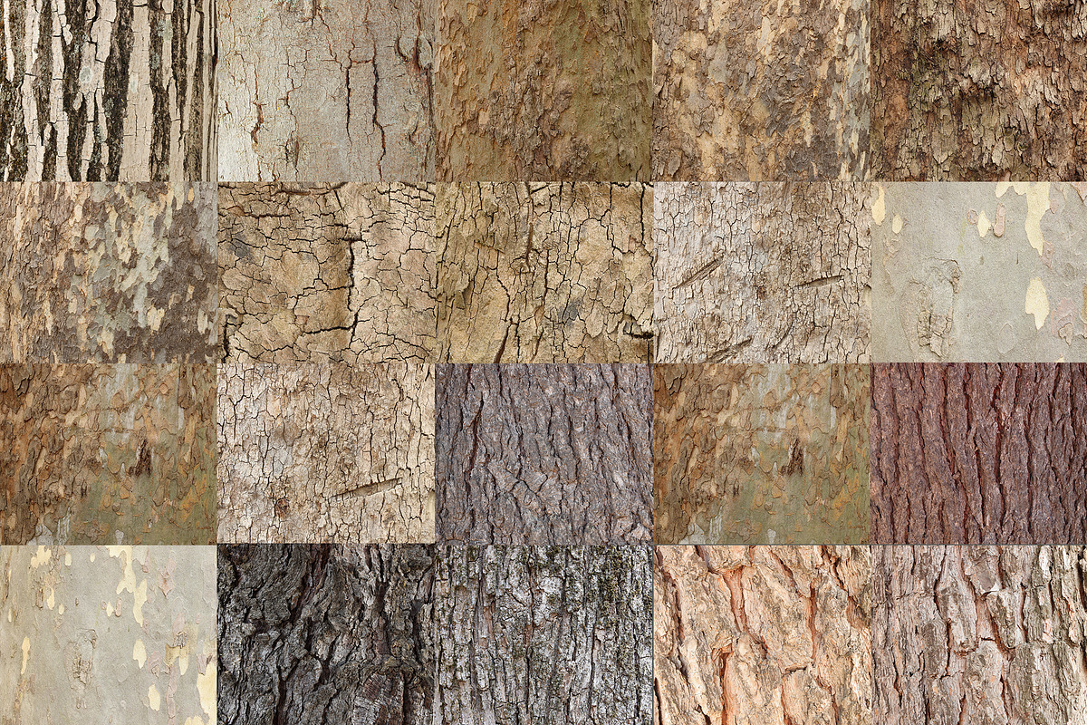 20 Tree Bark Textures, a Texture Graphic by CCPreset