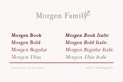 Morgen - Handwritten Serif Font, a Serif Font by Craft Supply Co. (Thumbnail 3 of 9)