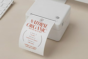 Bakery Megals Elegant Luxury Serif, a Serif Font by timelesstype.co (Thumbnail 3 of 15)