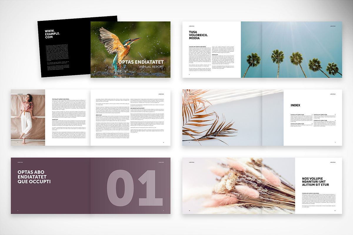 Annual Report in Landscape Format, a Brochure Template by McLittle Stock (Photo 2 of 6)