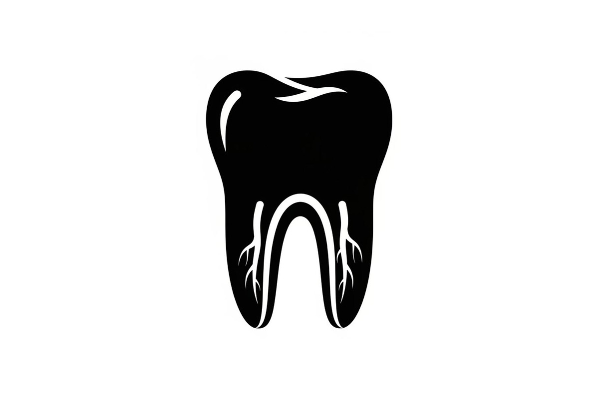 Human tooth dental silhouette, a Graphic by hafijul (Photo 3 of 10)
