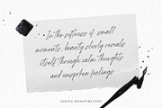 Gentle Signature, a Handwritten Font by Beautypes (Thumbnail 4 of 7)