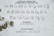 Nostalgia Valentine, a Handwritten Font by FreshTypeINK (Thumbnail 6 of 8)