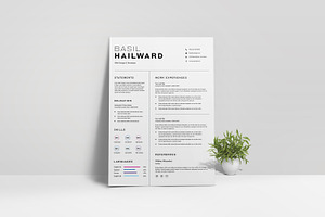 Professional Resume Template, a Resume Template by slidestock55