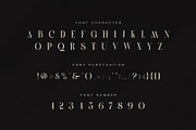 Hawase Elegant Serif Font, a Serif Font by Graphicxell (Thumbnail 7 of 8)
