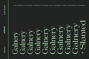 Galnery, a Serif Font by Suza Studio (Thumbnail 3 of 13)