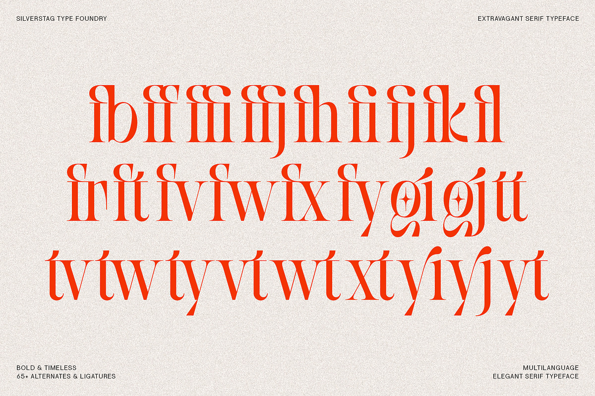 SLTF BOXROOM - Modern Serif Typeface, a Serif Font by SilverStag Type Foundry (Photo 30 of 30)