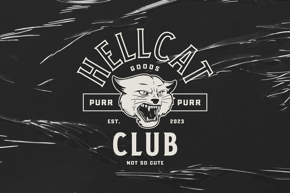 Oldschool Apparel logos 2, a Branding & Logo Template by Davide Bassu (Photo 3 of 11)