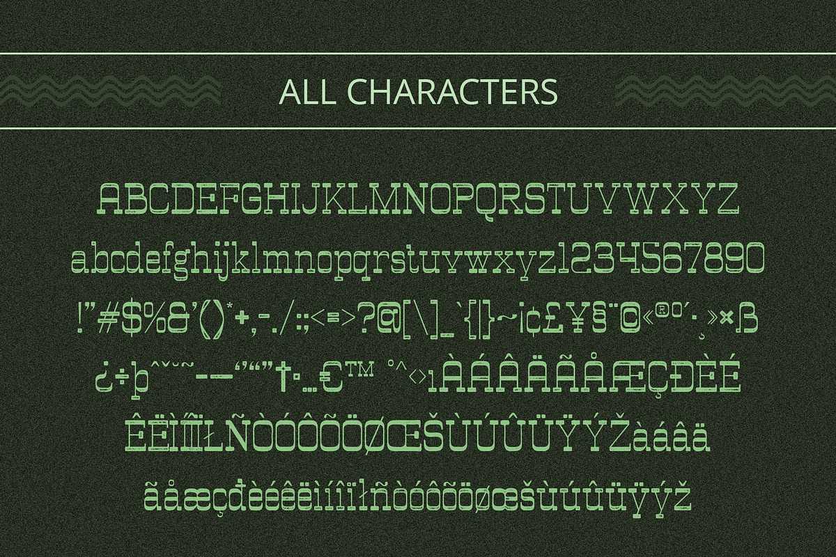 Vilkey Vintage, a Serif Font by Craft Supply Co. (Photo 6 of 8)