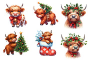 Christmas Highland Cow Clipart, an Illustration by SinaCreation (Thumbnail 5 of 7)