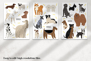 Friends: 23 Different Dog Breeds