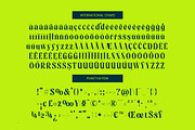 Zefta Bold Tall Modern Serif Font, a Serif Font by timelesstype.co (Thumbnail 19 of 20)