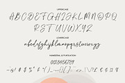 Fountain Script, a Script Font by moriztype (Thumbnail 5 of 6)