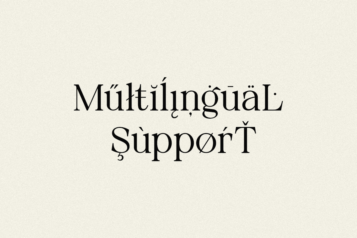 Neutical Serif Font Family (12 Font), a Serif Font by Heinzel Std (Photo 12 of 19)