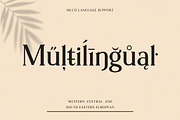 Harrison Serif Font, a Serif Font by UInstrument (Thumbnail 2 of 4)