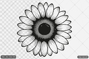 Sunflower SVG PNG Design Bundle, an Illustration by Actual Pixel (Thumbnail 15 of 30)