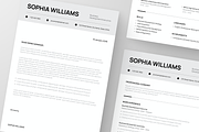 Professional ATS CV Resume, a Resume Template by Annora Studio (Thumbnail 6 of 6)