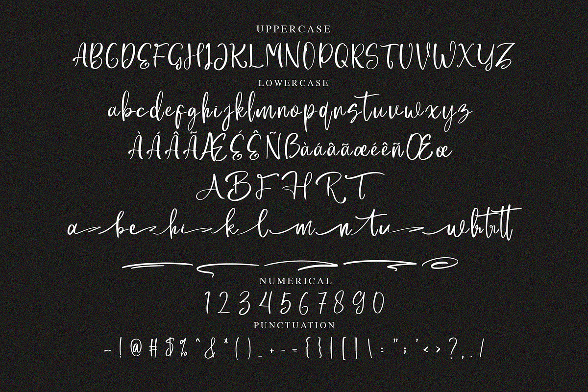 Rattin Gotica Elegant Script Font, a Script Font by NTC Graphic (Photo 8 of 9)