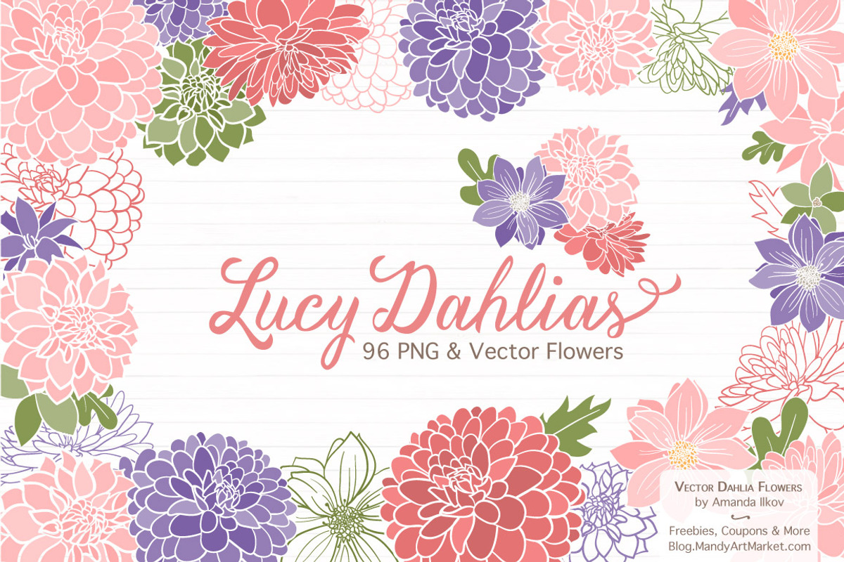 Wildflower Clipart & Vectors, an Illustration by Amanda Ilkov (Photo 1 of 4)