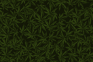 Cannabis Seamless Pattern