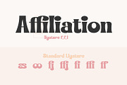 Smooth Gracier, a Serif Font by Nathatype (Thumbnail 7 of 10)