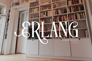 Elynior Katalis Display Elegant Font, a Serif Font by Denustudios (Thumbnail 7 of 15)