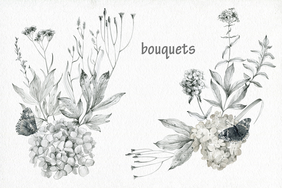Butterflies and floral collection., an Illustration by TaPilipa (Photo 5 of 13)