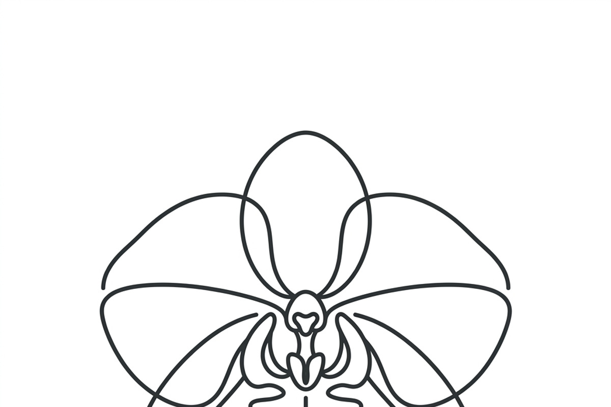42 Luxury Spa Icon Set, an Outline Icon by adenpinkstore (Photo 8 of 16)