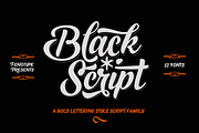 Black Script -12 fonts + extras pack, a Script Font by Fenotype (Thumbnail 1 of 11)