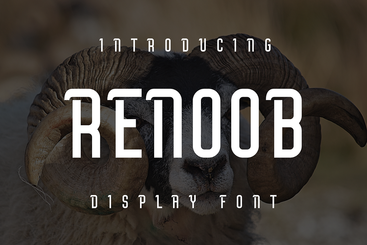 Renoob, a Sans Serif Font by lelevien (Photo 1 of 3)