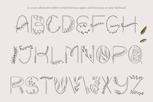 Floral Spring. Display Font.