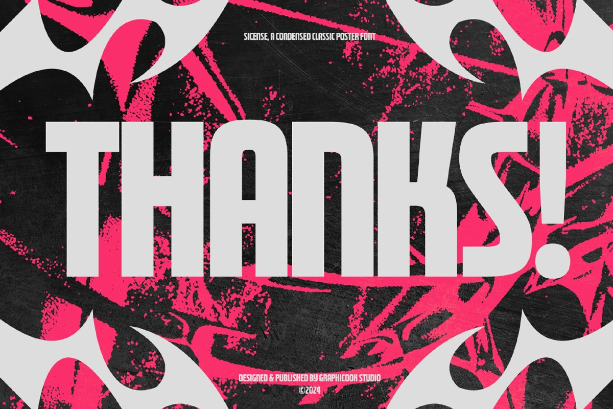 Sicense, a Sans Serif Font by graphicook (Photo 10 of 10)