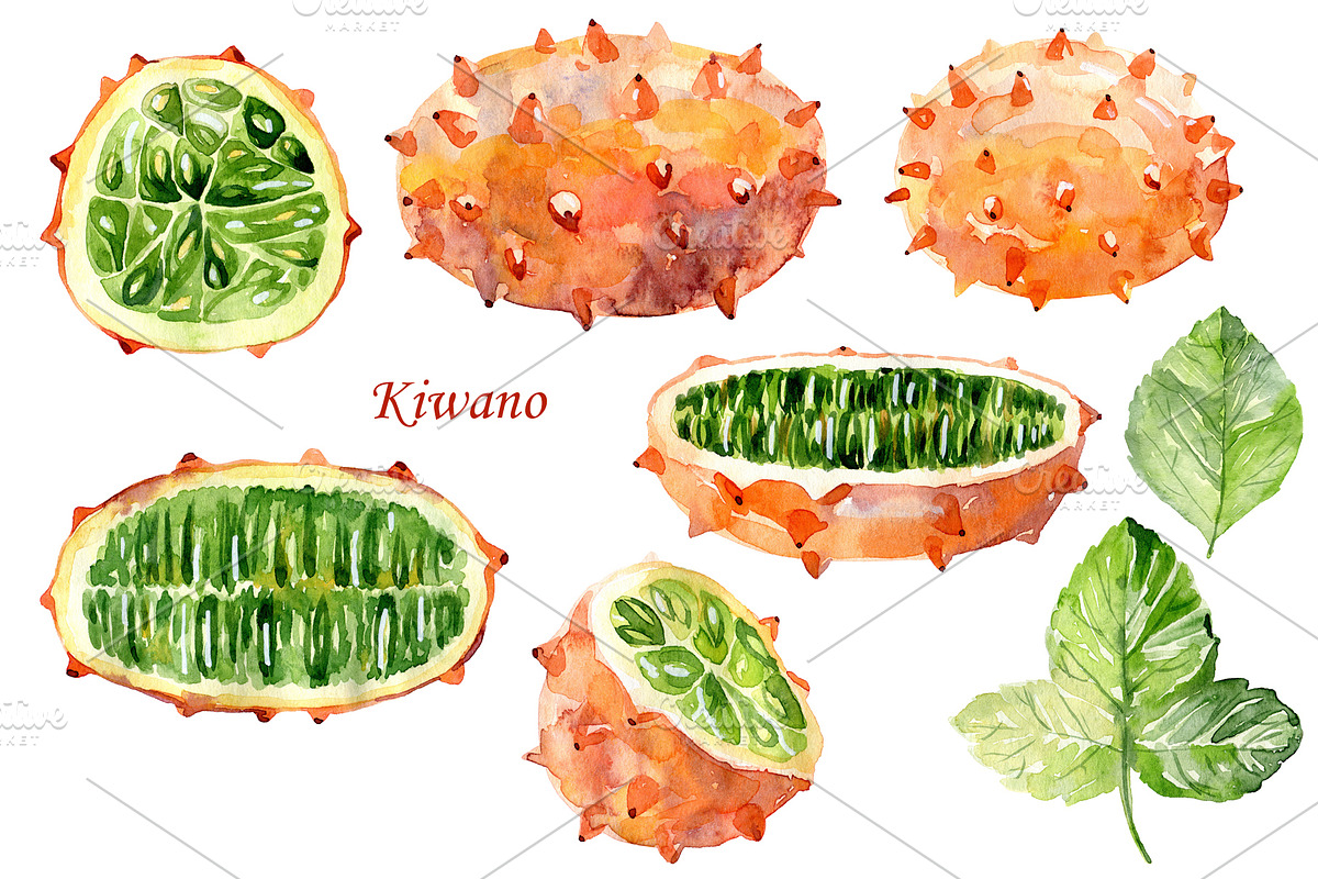 Watercolor tropical fruits., an Illustration by TaPilipa (Photo 16 of 39)