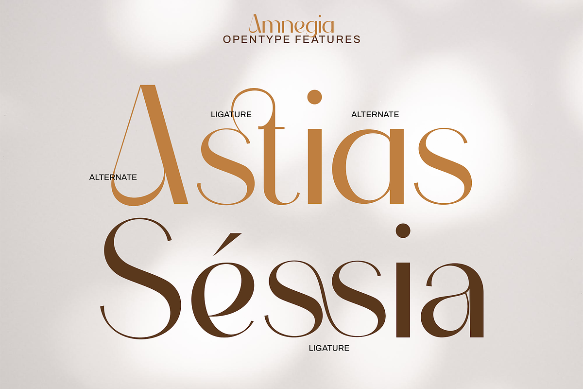 Amnegia - Beauty Elegant Sans Serif, a Sans Serif Font by PuriCreative (Photo 3 of 10)