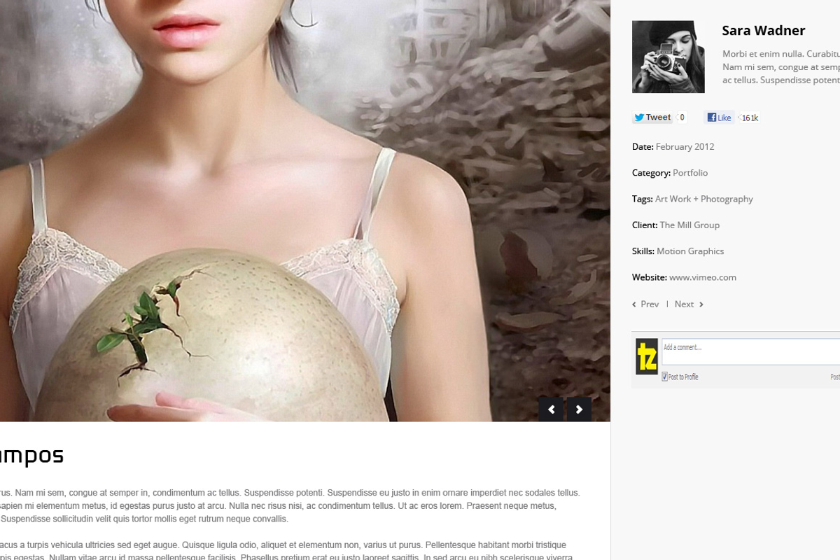 Digital Pixel - Responsive Theme, a WordPress Template by TemPlaza (Photo 4 of 5)