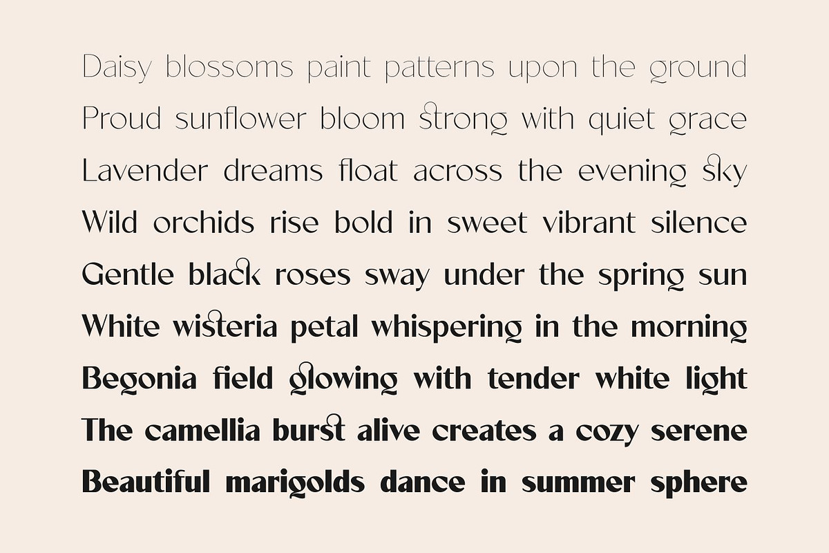 Velorina Font Family, a Sans Serif Font by Asenbayu (Photo 7 of 14)