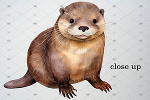 Watercolor Otter Clipart Set, 37 PNG