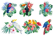 Tropical birds watercolor clipart, an Animal Illustration by Hanna Hryharenka (Thumbnail 8 of 12)