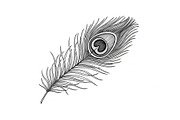 Peacock Feather Silhouette Bundle, an Illustration by jahid234 (Thumbnail 17 of 31)