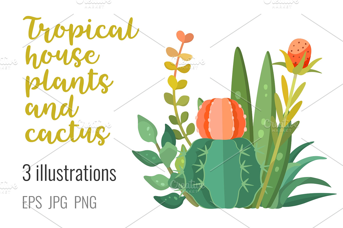 Tropic plants and cactus composition, a Decorative Illustration by Primula`s shop (Photo 1 of 3)