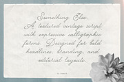 Something Else Textured Script, a Script Font by AnMark (Thumbnail 9 of 10)