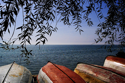 Summer By The Lake Featuring Lake Beach And Boat preview 6