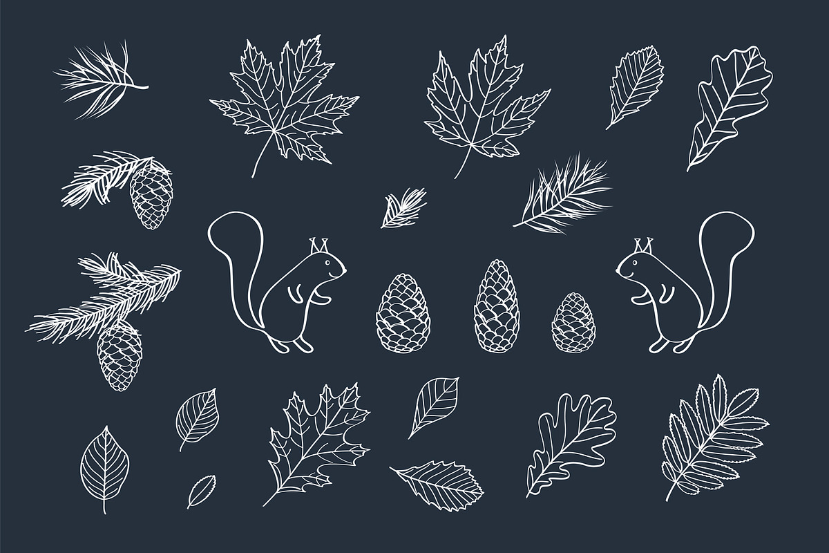 Hand drawn leaves of different trees, a Decorative Illustration by Tkoko vectors & patterns (Photo 7 of 14)