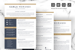 Modern Resume Template / CV Format