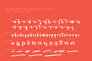Busingen am Hochrhein, a Script Font by Atj.std (Thumbnail 7 of 8)