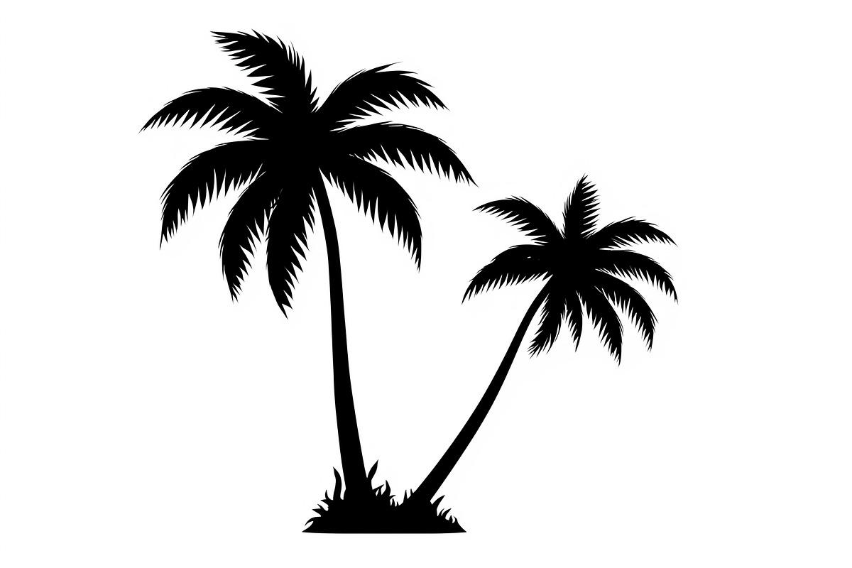 Palm Silhouette Clipart Set, an Illustration by hafijul (Photo 17 of 21)